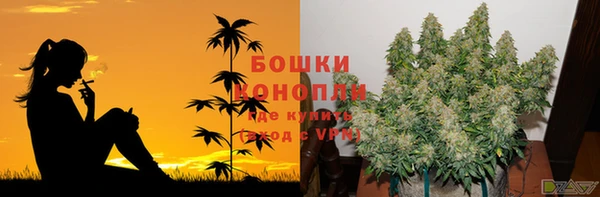 стаф Коряжма