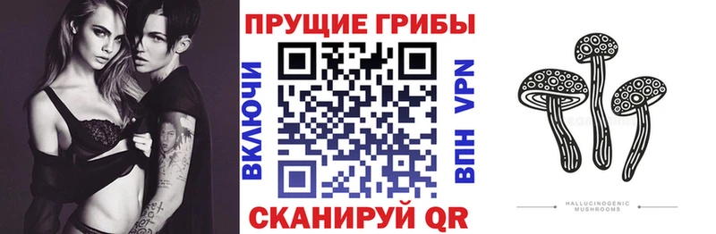 Галлюциногенные грибы GOLDEN TEACHER  Купить закладки  Онега 